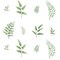 Eight Ferns Wall Stencil | 2343 by Designer Stencils | Floral Stencils | Reusable Art Craft Stencils for Painting on Walls, Canvas, Wood | Reusable Plastic Paint Stencil for Home Makeover | Easy to Use & Clean Art Stencil